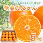 《鹿児島県奄美大島産》 完熟たんかん 5kg箱満杯詰 光センサー選別