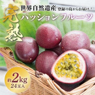 優品）沖縄県産パッションフルーツ 3kg 9～13個詰【発送期間限定