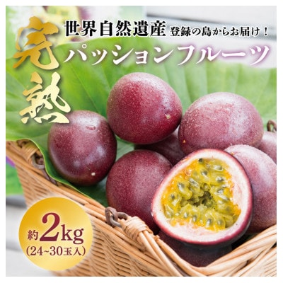 2027年発送《奄美大島産パッションフルーツ》バラ詰め約2kg(24~30玉入り)