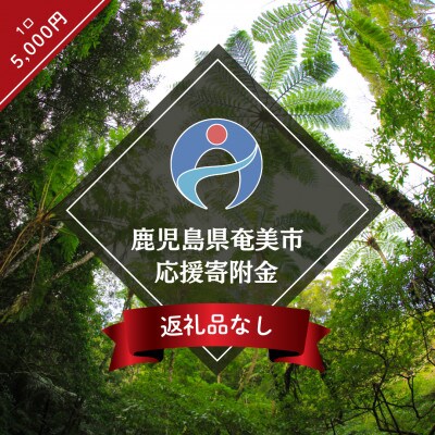 【返礼品なし】鹿児島県奄美市応援寄附金(1口:5,000円)