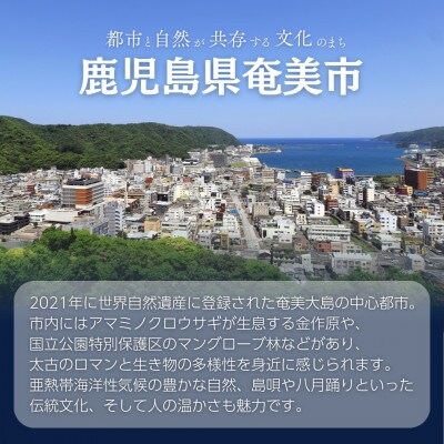 【返礼品なし】鹿児島県奄美市応援寄附金(1口:5,000円)