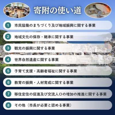 【返礼品なし】鹿児島県奄美市応援寄附金(1口:5,000円)