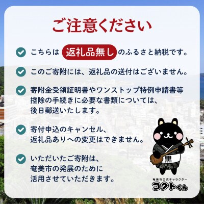 【返礼品なし】鹿児島県奄美市応援寄附金(1口:5,000円)