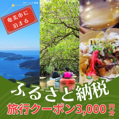 【直行チャーター便にも使える!】奄美市に泊まるふるさと納税旅行クーポン【3,000円分】(奄美市)