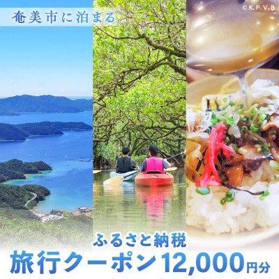 奄美市に泊まるふるさと納税旅行クーポン【12,000円分】(奄美市)