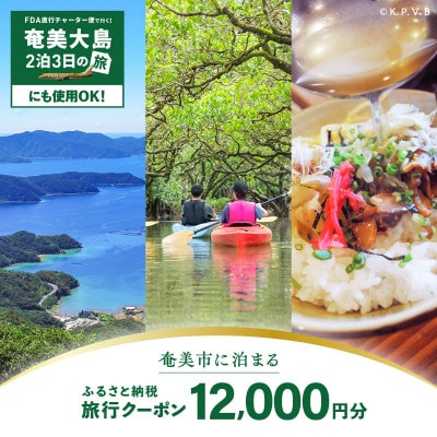【直行チャーター便にも使える!】奄美市に泊まるふるさと納税旅行クーポン【12,000円分】(奄美市)