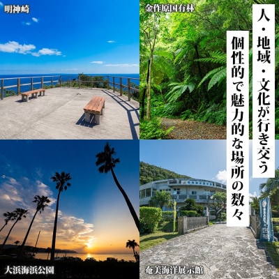 【奄美大島ツアー】後から選べる旅行Webカタログで使える!旅行クーポン(60,000円分)(奄美市)