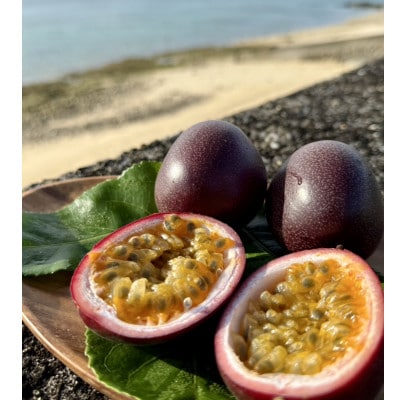 【情熱のタマ】島の恵み 奄美パッションフルーツ1.5kg (18玉前後)