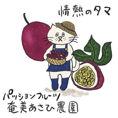 【情熱のタマ】島の恵み 奄美パッションフルーツ1.5kg (18玉前後)