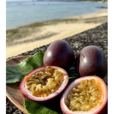 【情熱のタマ】島の恵み 奄美パッションフルーツ3.5kg (45玉前後)