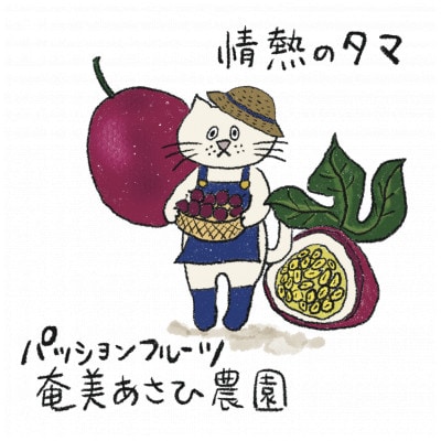 【情熱のタマ】島の恵み 奄美パッションフルーツ3.5kg (45玉前後)