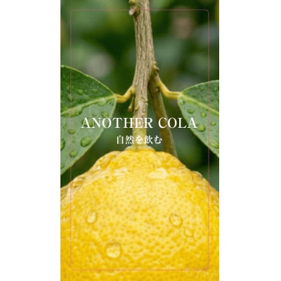 ANOTHER COLA 100 極源レモン