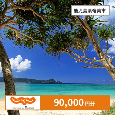 【じゃらんふるさと納税クーポン】 鹿児島県奄美市でつかえる90,000円 クーポン