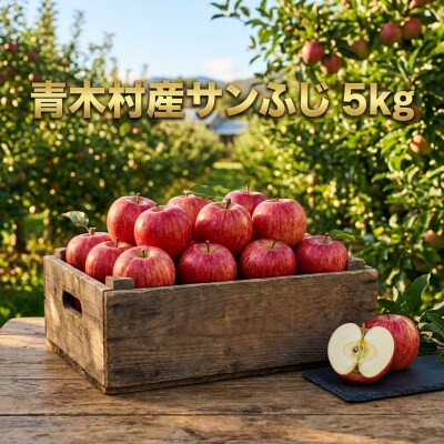 長野県青木村産りんご(サンふじ)1箱(5kg)