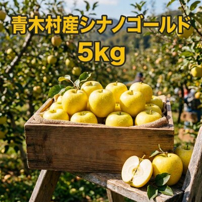 長野県青木村産りんご(シナノゴールド)1箱(5kg)