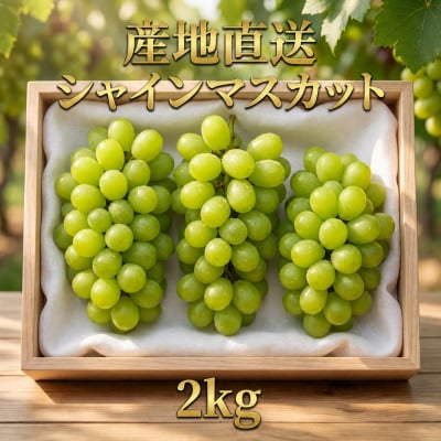 長野県青木村産シャインマスカット1箱(2kg)