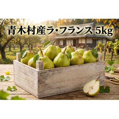 長野県青木村産ラ・フランス1箱(5kg)