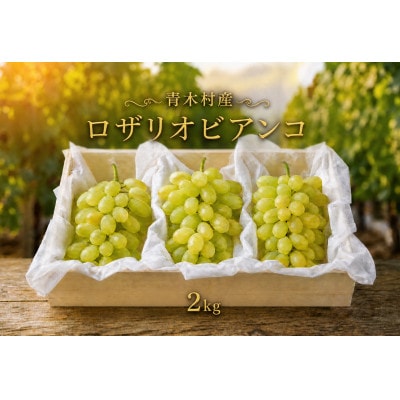 長野県青木村産ロザリオビアンコ(種あり)1箱(2kg)