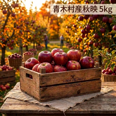 長野県青木村産りんご(秋映)1箱(5kg)