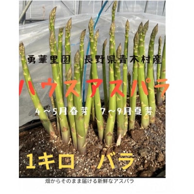 朝採りアスパラガス　L～2Lサイズ　1kg