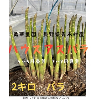 朝採りアスパラガス　L～2Lサイズ　2kg