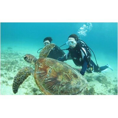 沖永良部島の体験ダイビング 2ダイブセット
