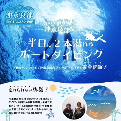 沖永良部島のファンダイビング　2ボートダイブ