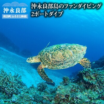 沖永良部島のファンダイビング　2ボートダイブ