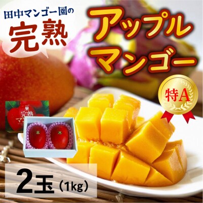 田中マンゴー園の完熟アップルマンゴー 特A2玉1キロ