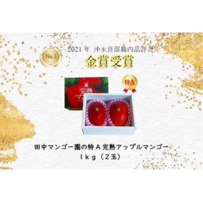 田中マンゴー園の完熟アップルマンゴー 特A2玉1キロ