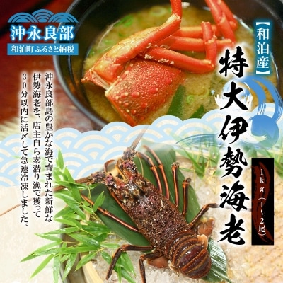 【漁師直送】活き〆冷凍　特大伊勢海老1キロ(1～2尾)
