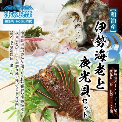 【漁師直送】活き〆冷凍　天然伊勢海老2キロ(6～8尾)と夜光貝(1～2個)のセット!