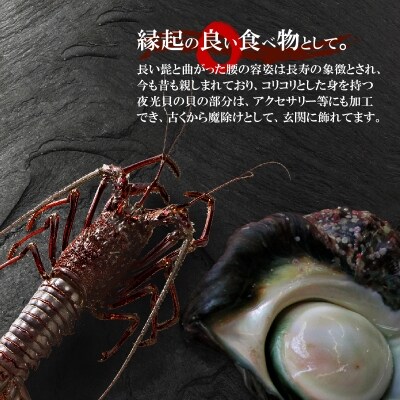 【漁師直送】活き〆冷凍　天然伊勢海老2キロ(6～8尾)と夜光貝(1～2個)のセット!