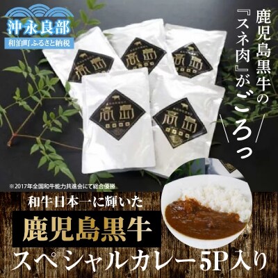 【ふるさと納税】【ご当地カレー】鹿児島黒牛スペシャルカレー5パック入り