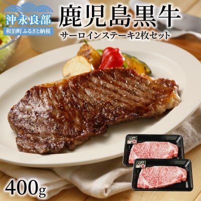 鹿児島県産黒毛和牛A5等級サーロインステーキ2枚セット 400グラム