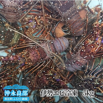 伊勢エビ冷凍　5キロ