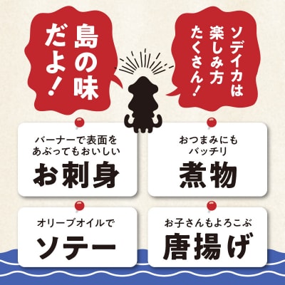 冷凍保存OK!エメラルドブルーの美しい海で育ったおいしいソデイカ冷凍ブロック約500グラム