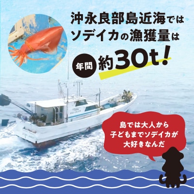 冷凍保存OK!エメラルドブルーの美しい海で育ったおいしいソデイカ冷凍ブロック約500グラム
