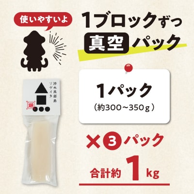 冷凍保存OK!エメラルドブルーの美しい海で育ったおいしいソデイカ冷凍ブロック約1キロ