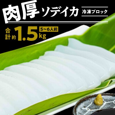 冷凍保存OK!エメラルドブルーの美しい海で育ったおいしいソデイカ冷凍ブロック約1.5キロ　5～6人前