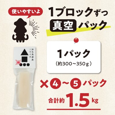 冷凍保存OK!エメラルドブルーの美しい海で育ったおいしいソデイカ冷凍ブロック約1.5キロ　5～6人前