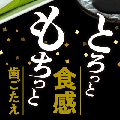冷凍保存OK!エメラルドブルーの美しい海で育ったおいしいソデイカ冷凍ブロック約2キロ(7～8人前)