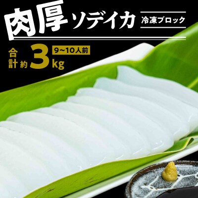 冷凍保存OK!エメラルドブルーの美しい海で育ったおいしいソデイカ冷凍ブロック約3キロ(9～10人前)