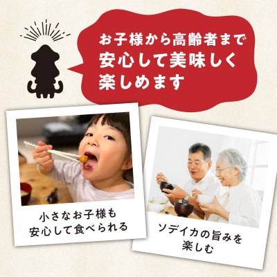 冷凍保存OK!エメラルドブルーの美しい海で育ったおいしいソデイカ冷凍ブロック約3キロ(9～10人前)