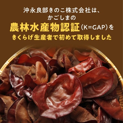沖永良部島の人気佃煮!ピリ辛コリッコリの食感がたまらない!おいしいきくらげ佃煮100グラム!