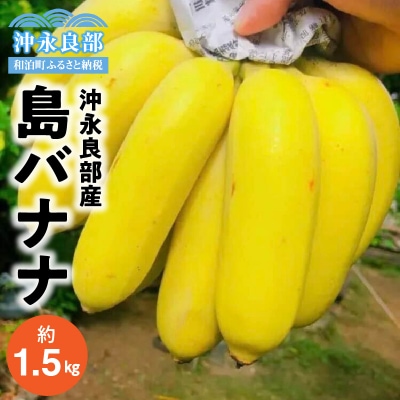 自然栽培　島バナナ　種子島産　　極み　※予約制 自然栽培〕予約販売1ヶ月ワクワバナナ：沖縄県産のその他バナナ