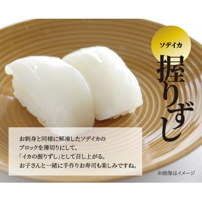 【サイズ不揃い】ソデイカ・刺身用ブロック　1キロ/沖永良部島特産
