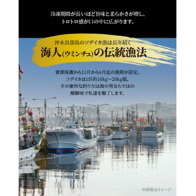 【サイズ不揃い】ソデイカ・刺身用ブロック　1キロ/沖永良部島特産