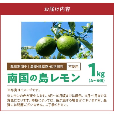 栽培期間中　農薬・除草剤・化学肥料不使用!南国の島レモン1キロ!