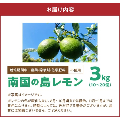 栽培期間中　農薬・除草剤・化学肥料不使用!南国の島レモン3キロ